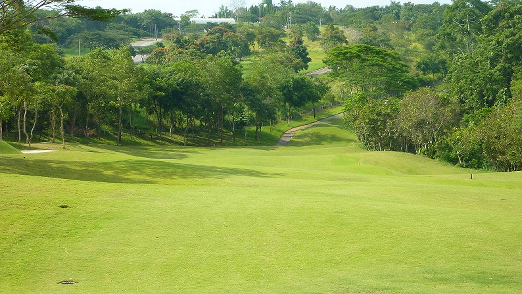 Golf course view