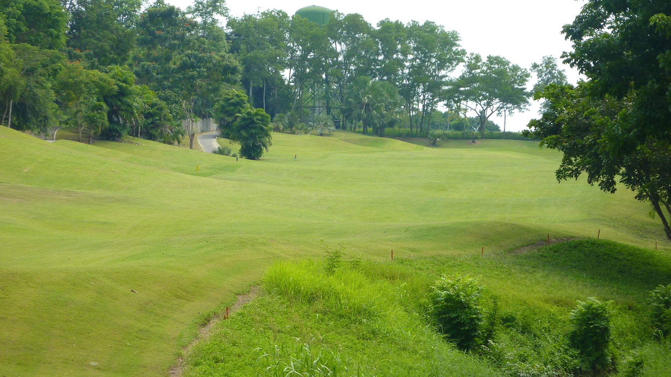 Fairway landscape