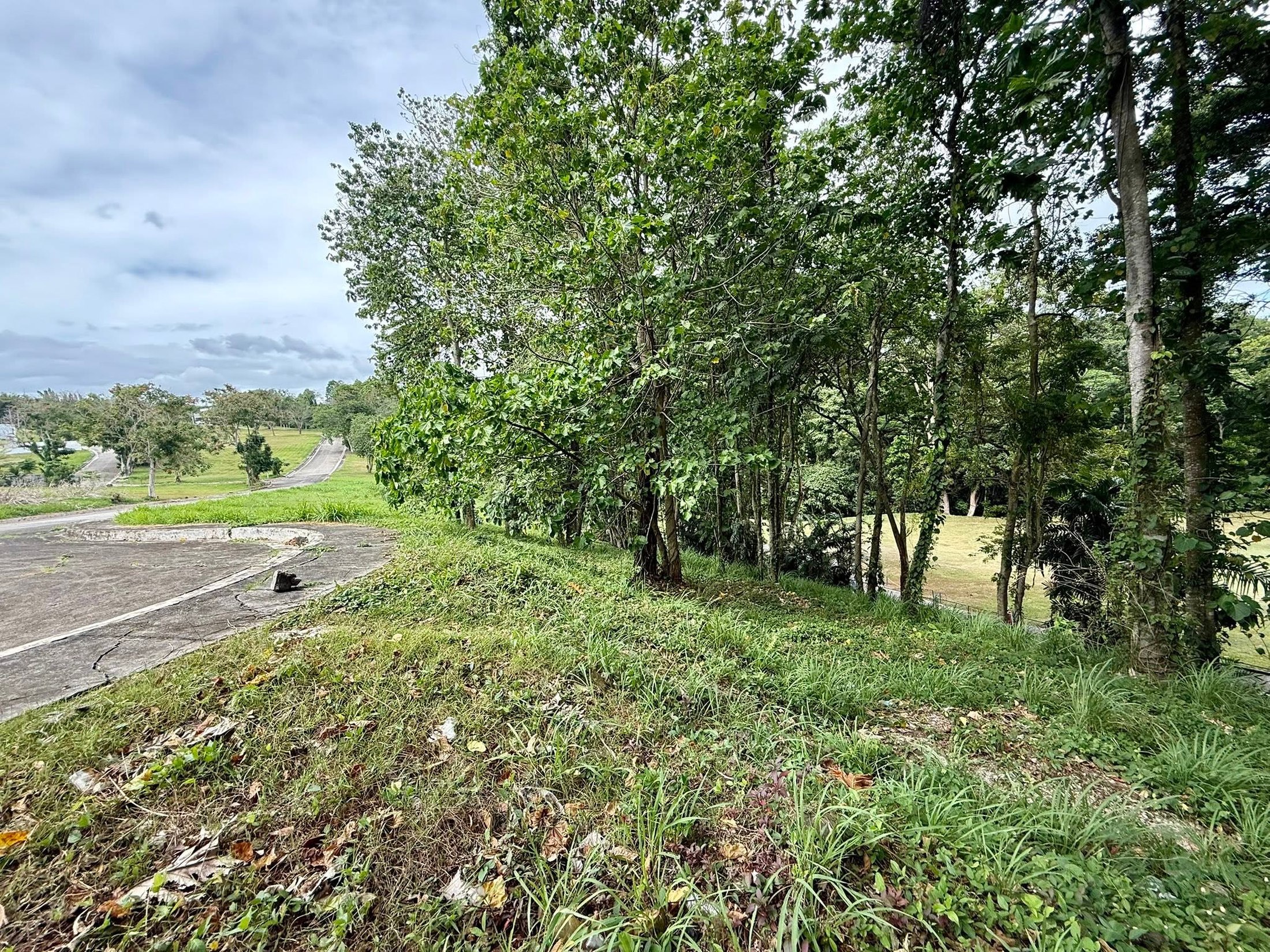 Actual fairway lot and internal road at Rancho Palos Verdes in Davao City